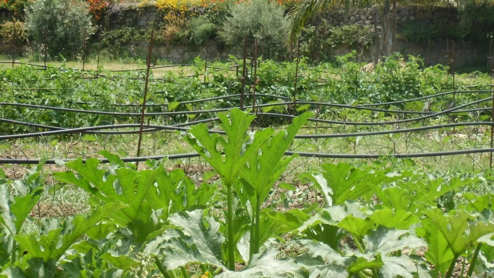 Farm stay Stella Di Sicilia Villa San Fratello